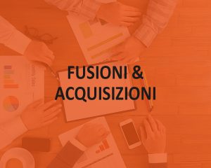 FUSIONI & ACQUISIZIONI ED EFFICACIA REALIZZATIVA NEL SETTORE ASSICURATIVO