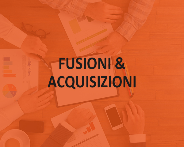 06 fusioni acquisizioni