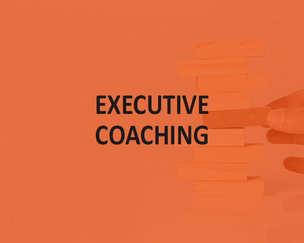 07 executive coaching